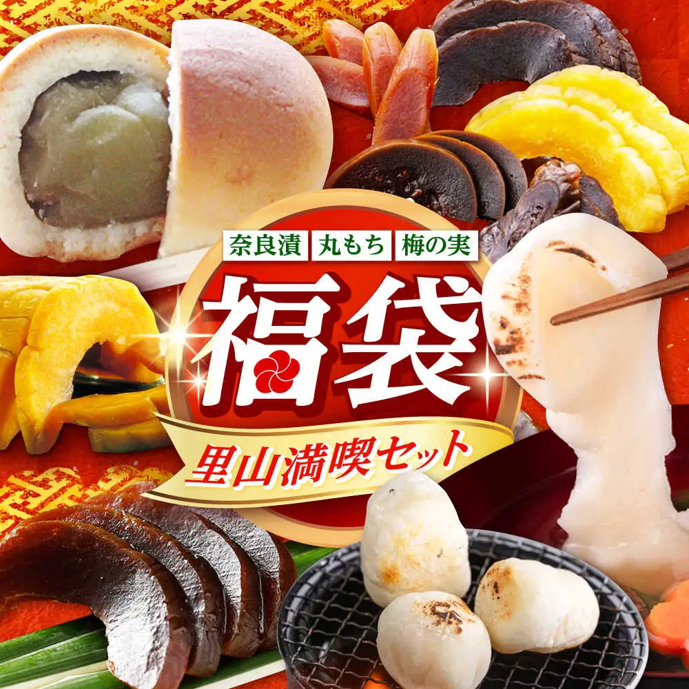 餅 福袋 里山満喫セット [ABZY017] 餅