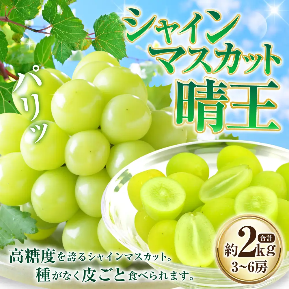 シャインマスカット 晴王 3～6房 計約2kg 【2026年8月下旬～11月下旬迄発送】 岡山 種無し 種なし マスカット 果物 くだもの フルーツ ぶどう ブドウ 葡萄 冷蔵