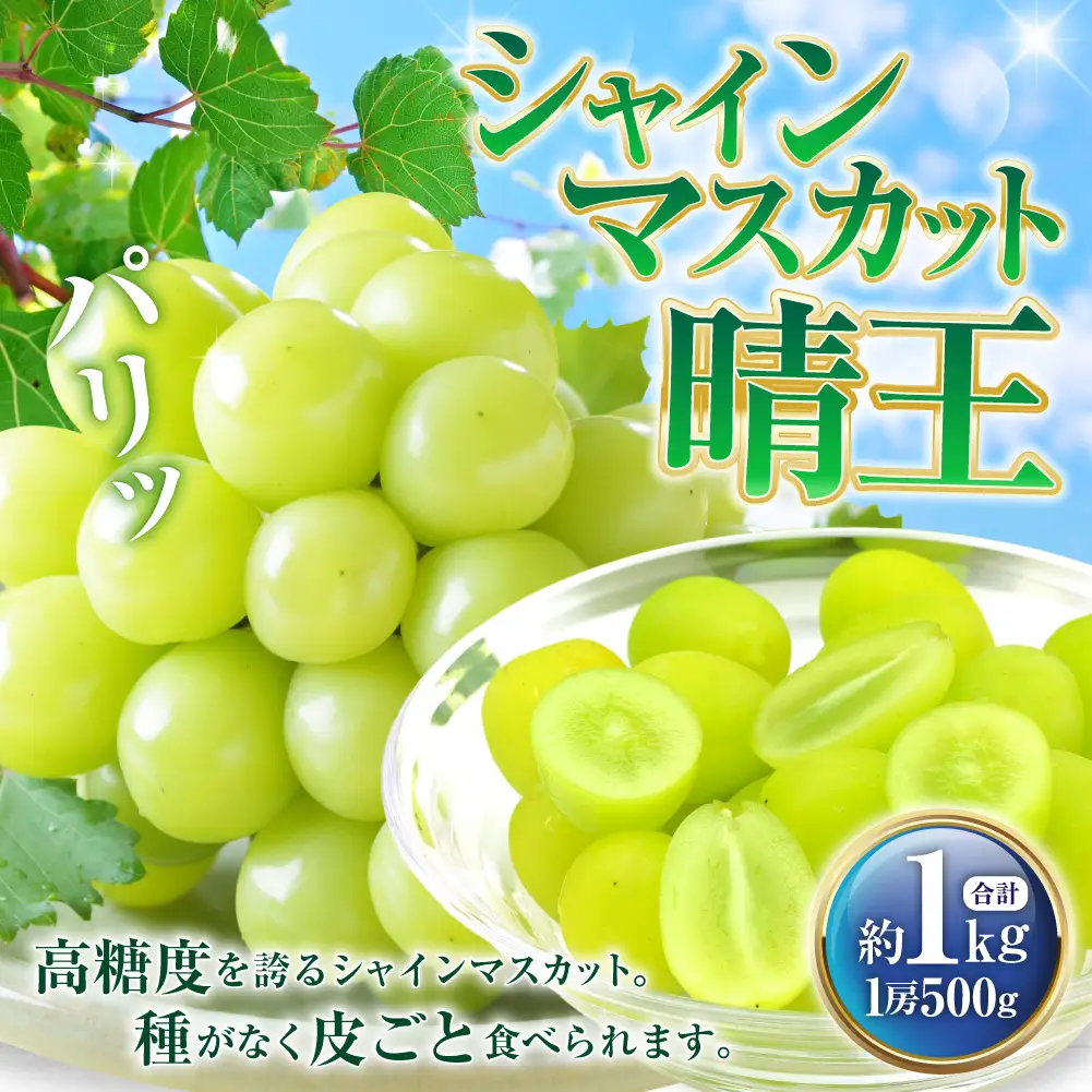 シャインマスカット 晴王 約500g×2房 計約1kg 【2026年8月下旬～11月下旬迄発送】 岡山 種無し 種なし マスカット 果物 くだもの フルーツ ぶどう ブドウ 葡萄 冷蔵