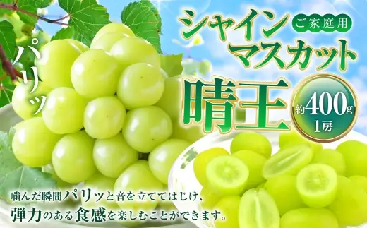 ご家庭用 シャインマスカット 晴王 約400g×1房 【2026年8月下旬～11月下旬迄発送】 岡山 種無し 種なし マスカット 果物 くだもの フルーツ ぶどう ブドウ 葡萄 国産 冷蔵