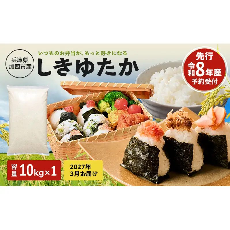 【令和8年産 先行受付】しきゆたか 白米 10kg《2027年3月発送》