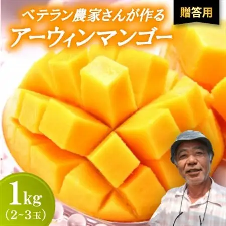 【2027年7月から順次発送・贈答用】ベテラン農家さんが作る アーウィンマンゴー1kg(2～3玉)【配送不可地域：離島】【1695284】