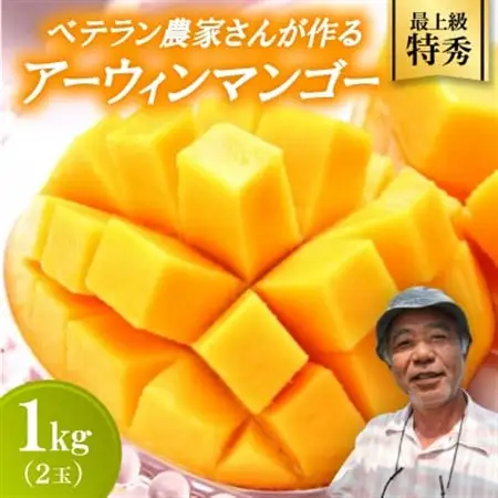 【2027年7月から順次発送・最上級特秀】名匠・比嘉峯夫さんが育てる アップルマンゴー1kg(2玉)【配送不可地域：離島】【1695305】