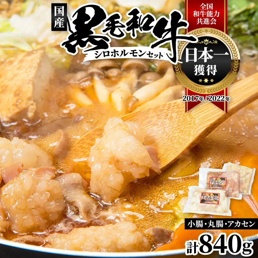 国産黒毛和牛シロホルモンセット840g A3-383枕【配送不可地域：離島】【1694678】