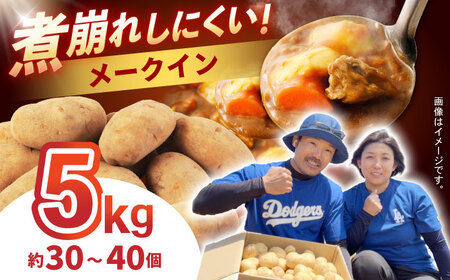 じゃがいも メークイン 5kg (S?2Lサイズ/約30?40個) / じゃがいも ジャガイモ ポテト 九州 メークイン メイクイーン 野菜 やさい / 諫早市 / スマイルファーム　[AHFG003]