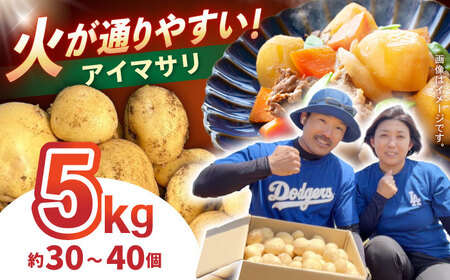 じゃがいも アイマサリ 5kg (S?2Lサイズ/約30?40個) / じゃがいも ジャガイモ ポテト 九州 あいまさり アイマサリ 野菜 やさい / 諫早市 / スマイルファーム　[AHFG005]