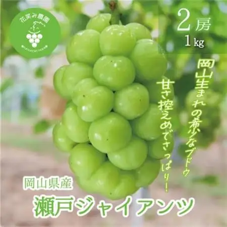 岡山　花笑み農園の『瀬戸ジャイアンツ』1kg(2房)　G-1【配送不可地域：離島】【1693701】