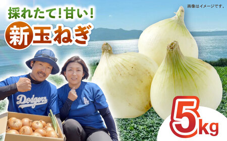 タマネギ 5kg / たまねぎ タマネギ 玉ねぎ 玉葱 玉ネギ 野菜 やさい 新玉 新たま 新玉ねぎ / 諫早市 /スマイルファーム[AHFG014]