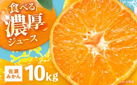 ※【2026年11月より順次発送／先行予約】【食べる濃厚ジュース】佐瀬みかん 10kg / みかん ミカン 蜜柑 オレンジ 柑橘 フルーツ ふるーつ 果物 くだもの みかんジュース 甘い / 諫早市 / 一正[AHFL002]