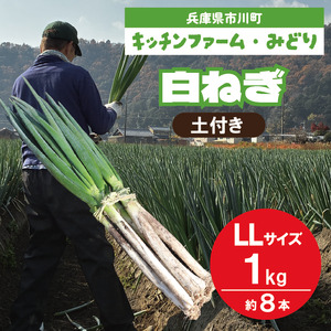 キッチンファームみどりの白ねぎ LLサイズ 1kg （土付き） 006KM02N.／ねぎ ネギ 白ネギ 白ねぎ