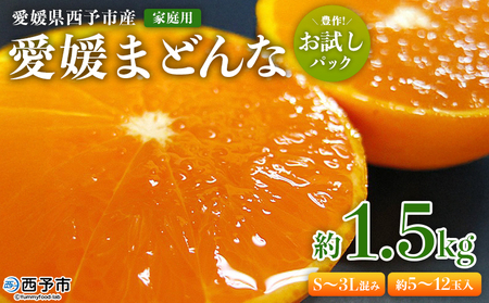 紅まどんなと同品種！＜愛媛県西予市産 愛媛まどんな 家庭用 豊作 お試しパック 約1.5kg＞ 訳あり 柑橘 果物 フルーツ 愛媛果試第28号 マドンナ 食べて応援 宇都宮物産【常温】『2025年12月上旬～2026年1月上旬頃迄に順次出荷予定』UUB0089