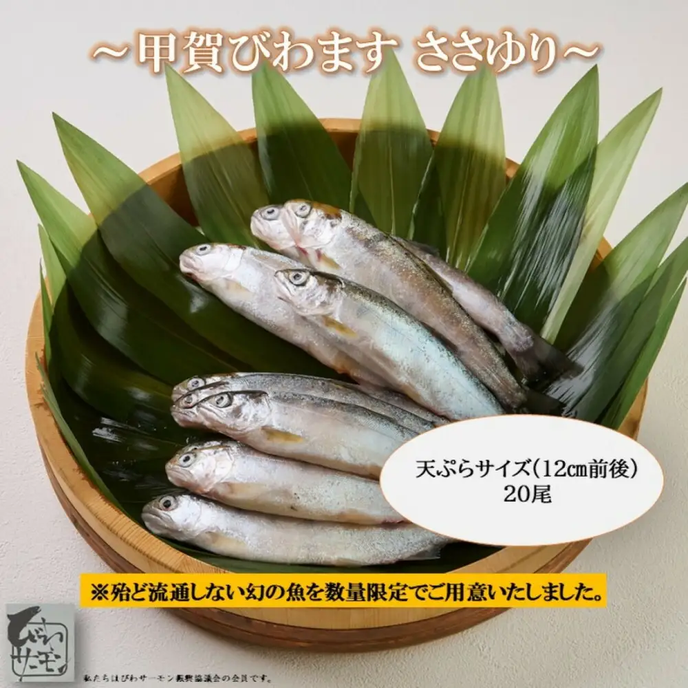 甲賀びわます “ささゆり”　 天ぷらサイズ 5尾入り×4パック