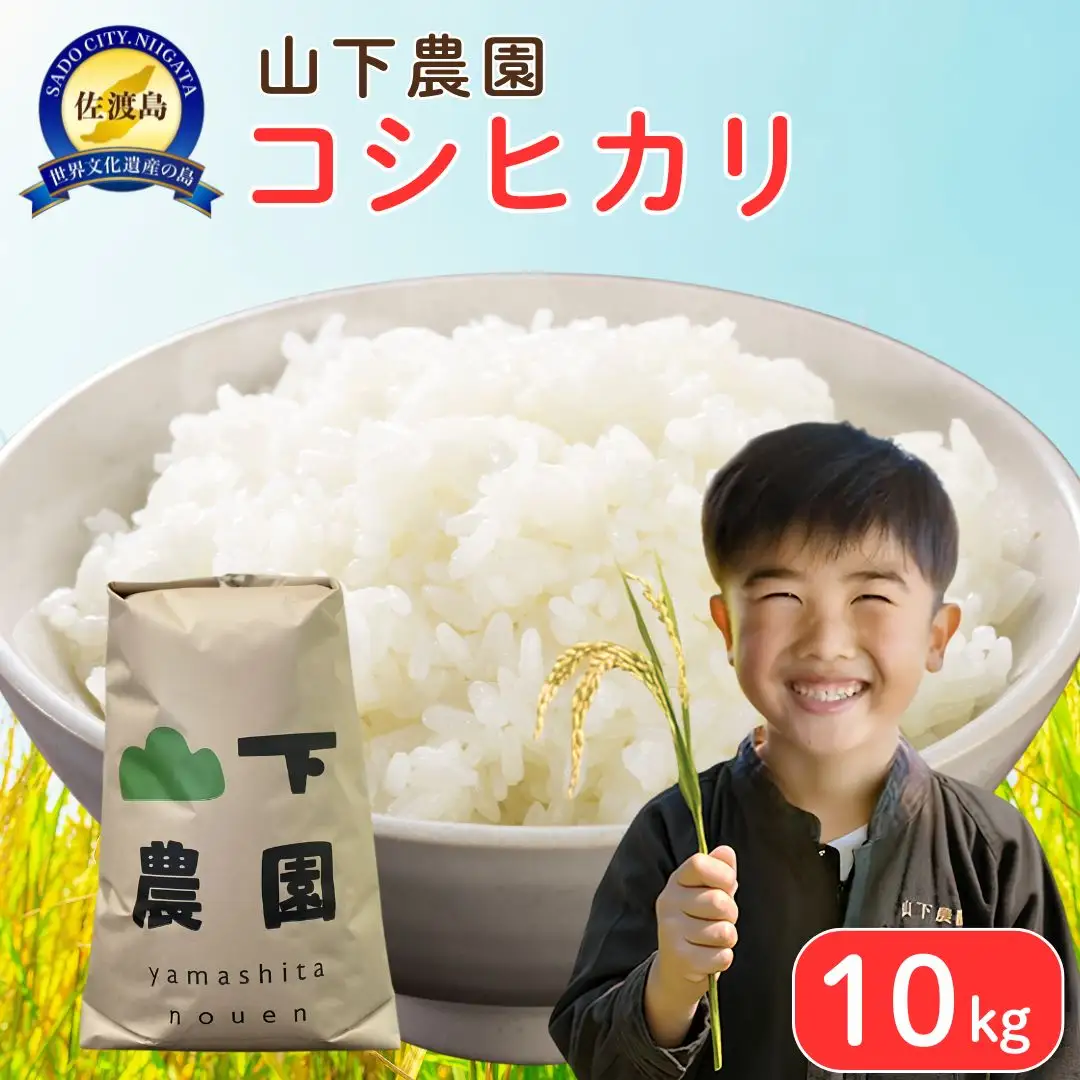 コシヒカリ 精米 10kg 有機栽培 山下農園| 新潟県 佐渡市 コシヒカリ