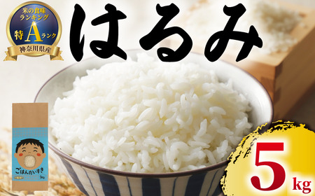 米 特Aランク はるみ 令和7年産 ｜ はるみ 5kg 米