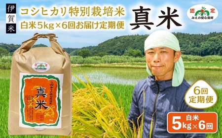 お米 伊賀米コシヒカリ特別栽培米「真米」白米5kg ×6回お届け定期便【ymnk-tkb0003】