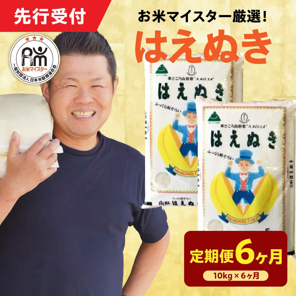 6ヶ月 定期便 令和7年産 はえぬき 10kg×6回 計60kg