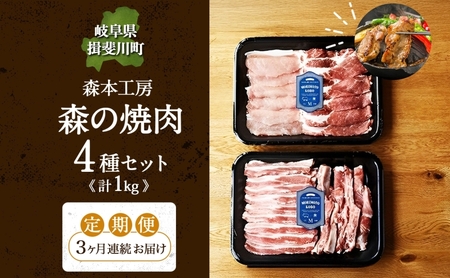 焼肉セット 飛騨・美濃けんとん 豚肉 4種 森本工房 焼肉セット【計1kg(各250g)】【冷蔵 定期便3ヶ月】