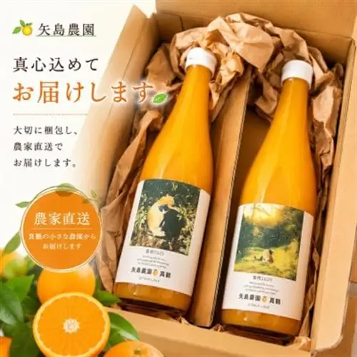 【矢島みかん農園】手剥きみかん丸ごと100%ジュース720ml2本|みかん農園直送～自然なままの味【1695140】