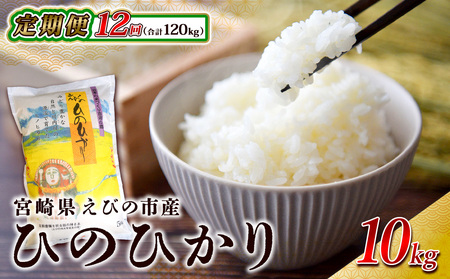 【令和7年産】【年間定期便】 えびの産 ひのひかり 10kg×12ヶ月 合計120kg お米  精米 白米 ご飯 国産 宮崎県産 九州産 送料無料こめ おにぎり お弁当