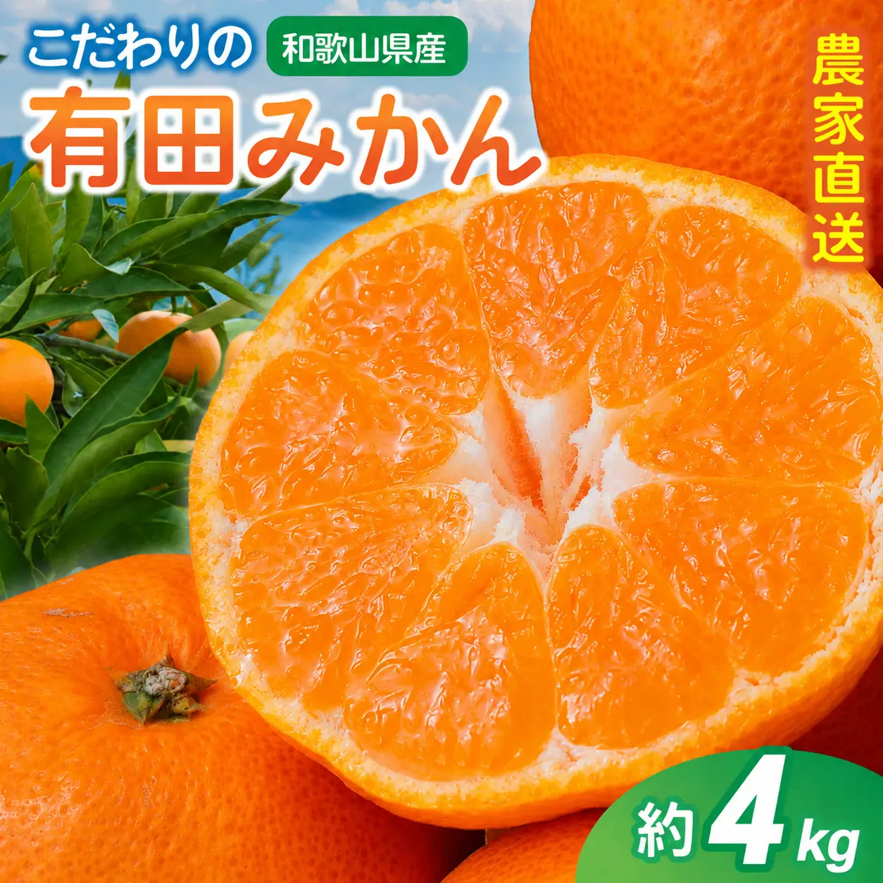 【訳あり・ご家庭用】こだわりの有田みかん 約4kg＋150g(傷み補償分)【2027年1月中に順次発送予定】 【CE-nuk148D-01】