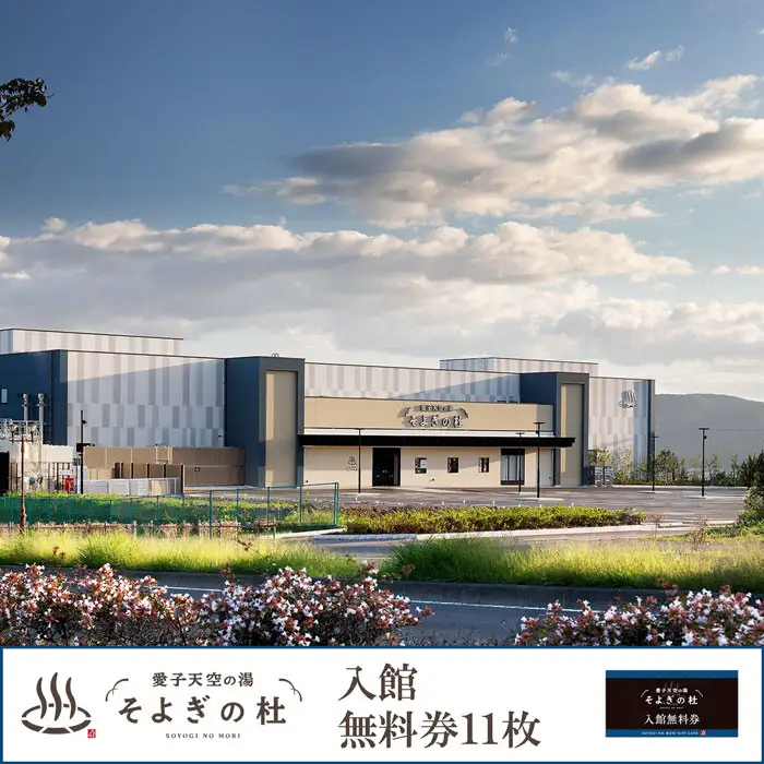 愛子天空の湯 そよぎの杜 入館無料券11枚