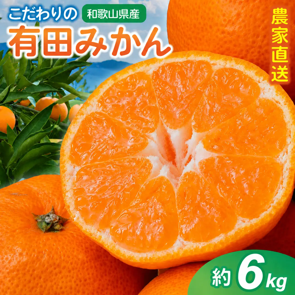 【訳あり・ご家庭用】こだわりの有田みかん 約6kg＋150g(傷み補償分)  【2027年1月中に順次発送予定】【CE-nuk102C-01】