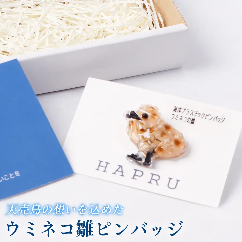 天売島の想いを込めた「ウミネコ雛ピンバッジ」【26008】