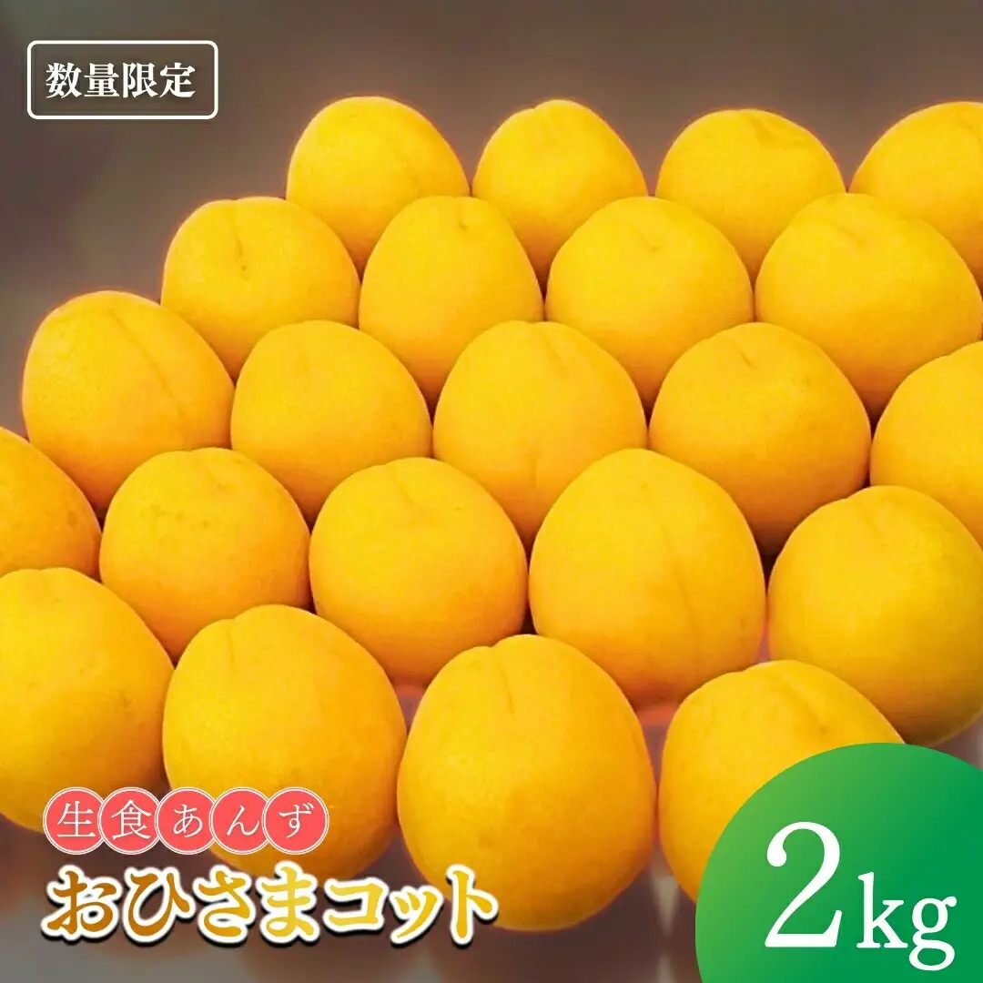 【2027年先行予約】あんず おひさまコット(生食/皮ごとOK)  バラ詰め 約2kg | あんず