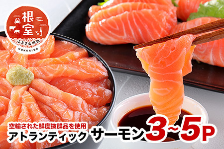 【生食可】アトランティックサーモン3～5P(計800g～900g前後） A-24020