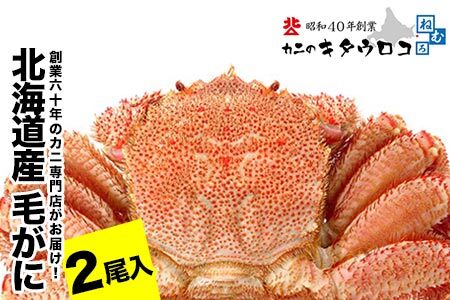 毛がに550g～650g前後×2尾 F-25014