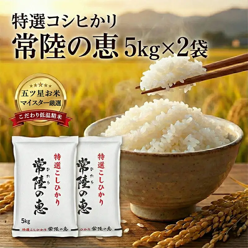 【令和７年産】特選こしひかり　「常陸の恵」１０kg 【 お米 五ツ星 お米マイスター HACCP 取得 低温精米 高品質 ご飯 美味しい米 ブランド米 特産物 あさや米穀 茨城県 日立市 】