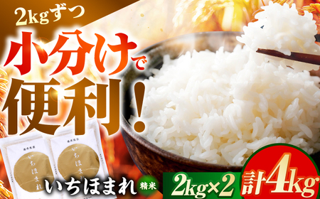 福井県産 いちほまれ 2kg×2袋 合計4kg 福井県 ブランド米 / 白米 精米 甘みとつや 小浜市 / シマダ農園[BFAV013]