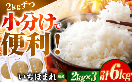 福井県産 いちほまれ 2kg×3袋 合計6kg 福井県 ブランド米 / 白米 精米 甘みとつや 小浜市 / シマダ農園[BFAV014]