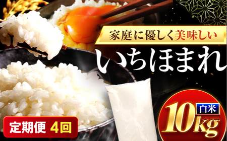 【4回定期便】お米 福井県産いちほまれ お米 10kg 小浜市 梅田東米穀店[BFEK034]