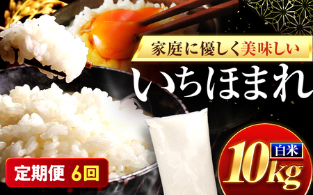 【6回定期便】お米 福井県産いちほまれ お米 10kg 小浜市 梅田東米穀店[BFEK036]