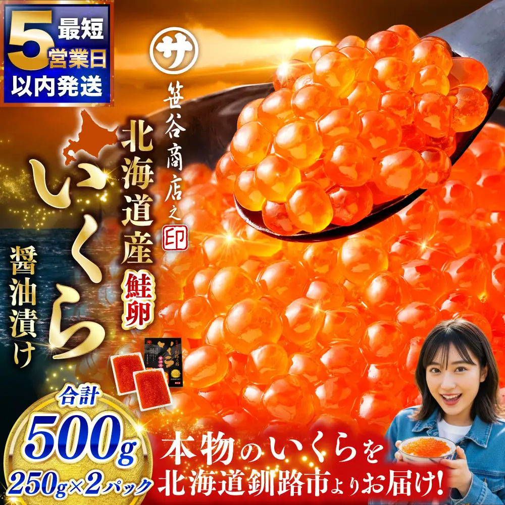 【5営業日以内発送】笹谷商店 北海道産いくらしょう油漬500g（250g×2パック入り） ふるさと納税 いくら