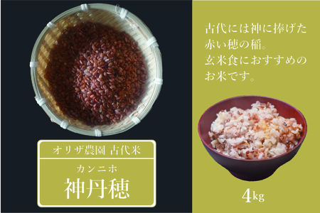 自然栽培の古代米「神丹穂(カンニホ)米」4kg(2kg×2袋) 2025年【長野県信濃町ふるさと納税／オリザ農園】