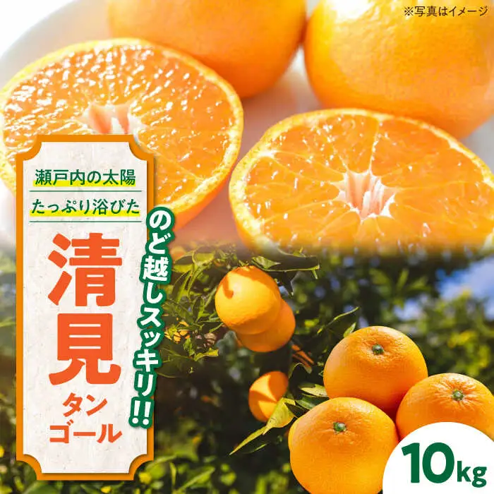 きよみタンゴール 10kg きよみ【3月下旬から順次発送】[AGAW006]