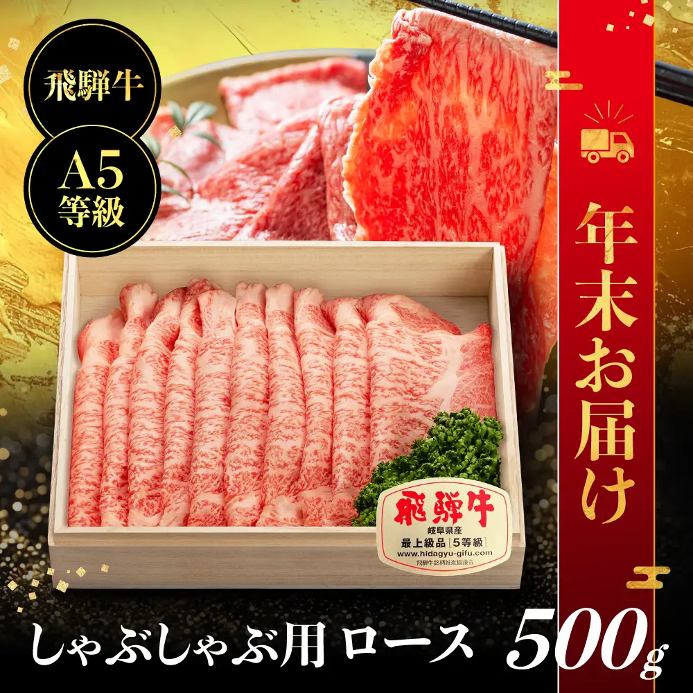 【年末お届け】飛騨牛 A5等級 ロース 500g しゃぶしゃぶ ❘年末お届け 飛騨牛 年末お届け JQ019VC12