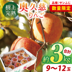 【先行予約】仲野りんご園の奥久慈りんご「サンふじ」約3kg（9～12玉）｜茨城県 大子町 樹上完熟 林檎 アップル 果物 フルーツ 旬 秋 味覚 ギフト 贈答（DF001）