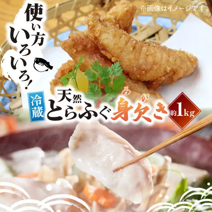 とらふぐ 身欠き（1kg） とらふぐ[AGBP003]