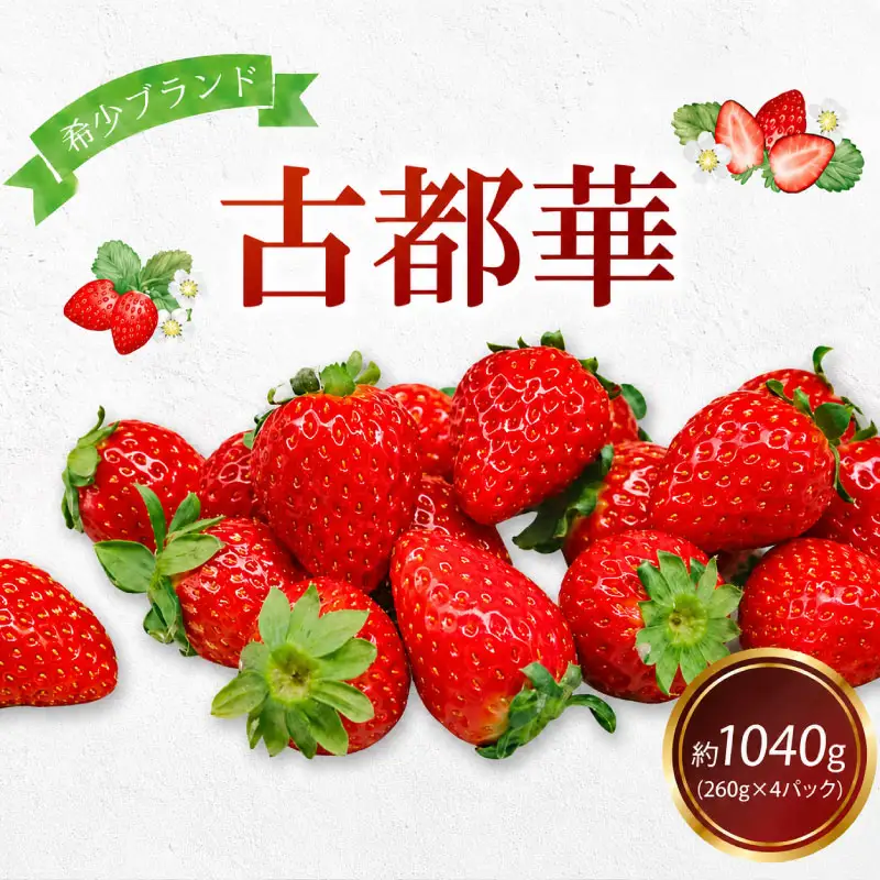 【2027年1月～発送】いちご 260g×4パック 古都華いちご