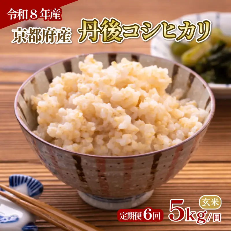 【玄米】定期便 6回 令和8年産 丹後コシヒカリ 玄米 5kg