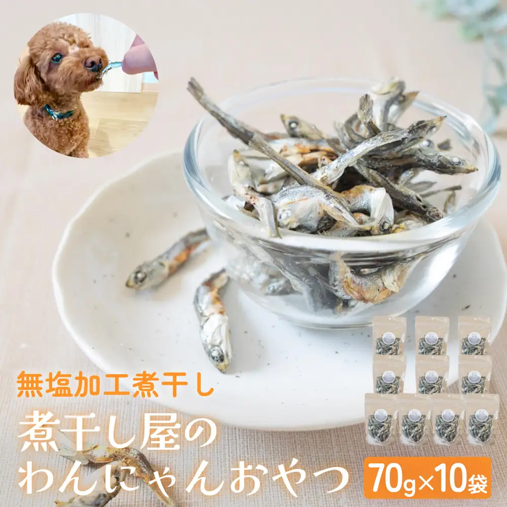 無塩加工煮干し 煮干し屋のわんにゃんおやつ 70g×10袋 無塩 煮干し 鰯 ペットフード 人間も可  犬 猫 富山県 氷見市