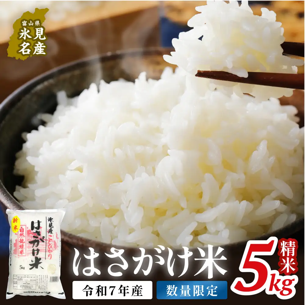 令和７年産 はさがけ米 精米5kg 富山県 氷見市 米 コシヒカリ こしひかり