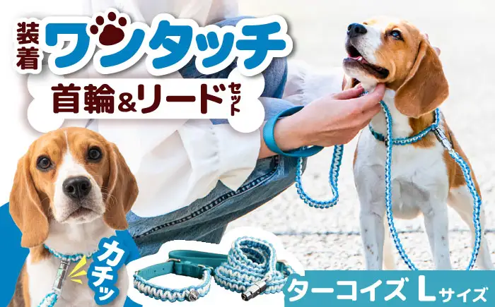 ペット 犬の首輪＆リードセット ターコイズ L ペット BLBX007