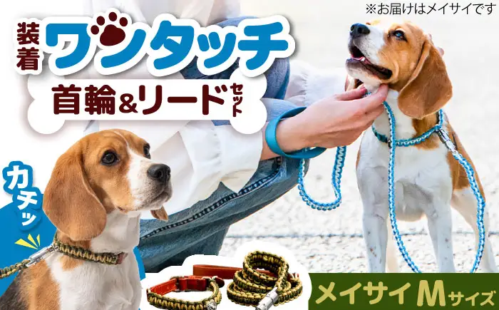 ペット 犬の首輪＆リードセット メイサイ M ペット BLBX018