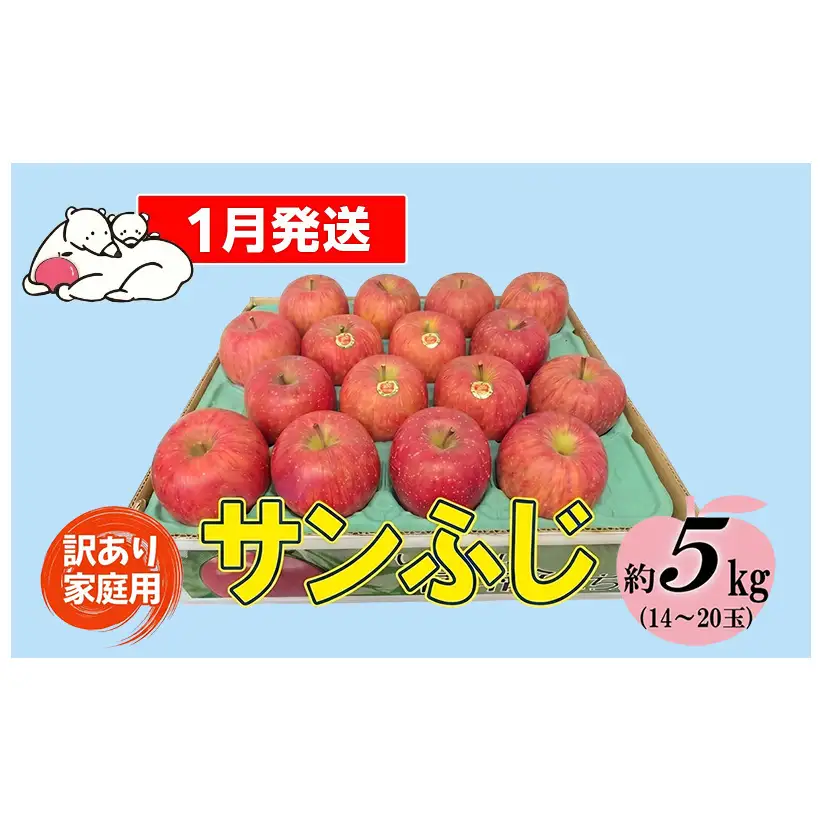 【1月発送】白熊 訳あり家庭用 サンふじ 約5kg 糖度13度【青森りんご 果物 フルーツ 食後 デザート シャキシャキ ジューシー りんごの王様 】