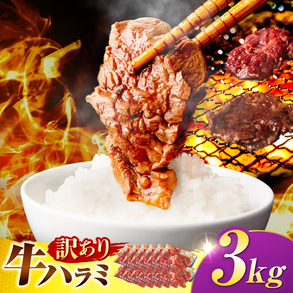 【訳あり×大容量】味付けハラミ 3kg(250ｇ×12パック) / ハラミ 牛肉 焼肉 / 御嵩町 / 馬力家[AVBO073]