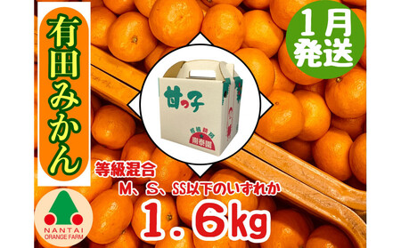 1月発送 等級混合 有田みかん M ～ SS以下 サイズ 約1.6kg 南泰園 和歌山 有田 みかん